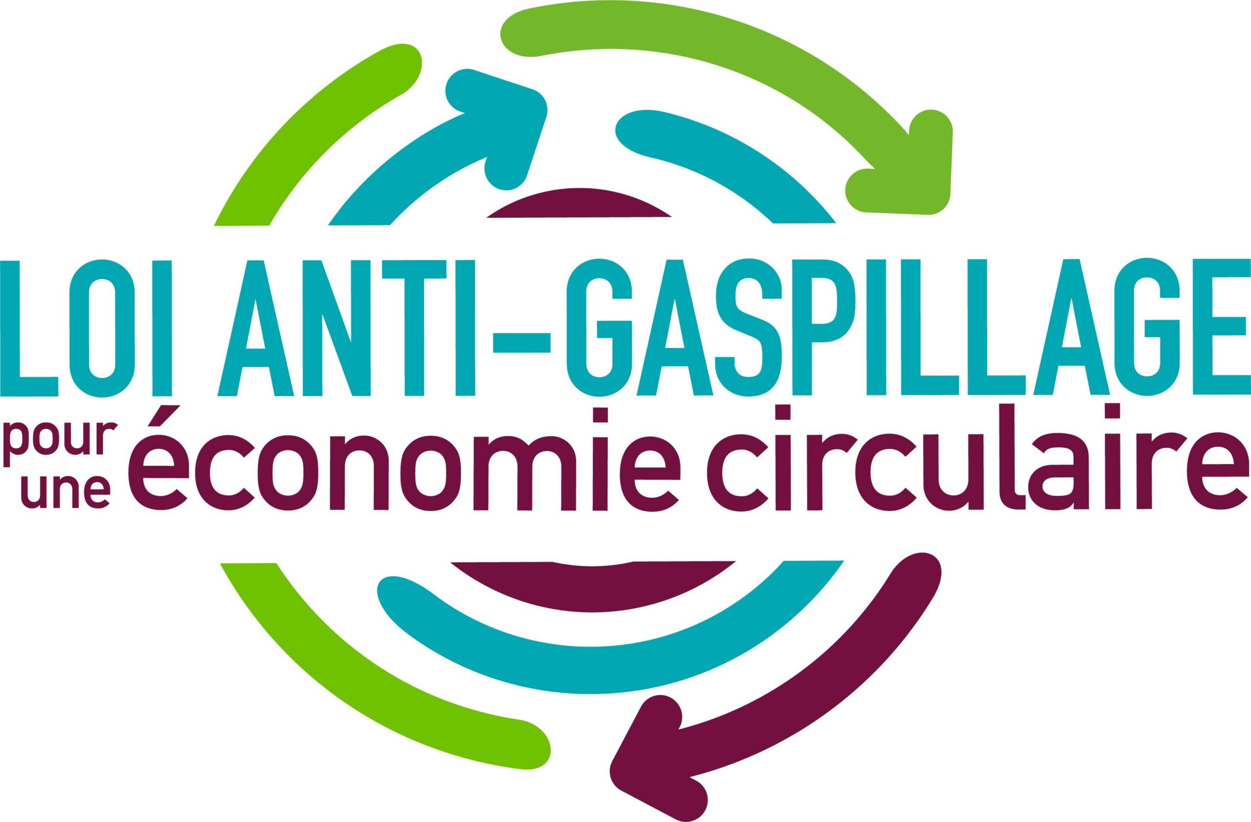 logo anti gaspi